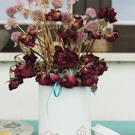 Vintage Loving House