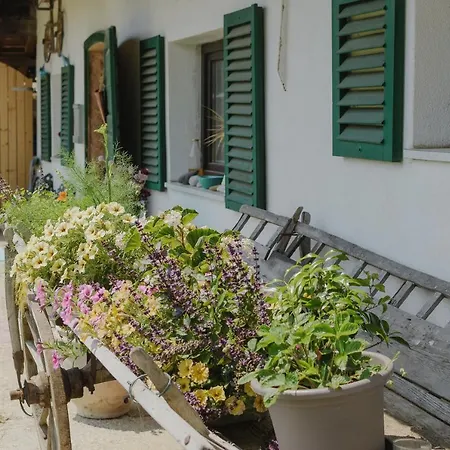 Camping Vintage Loving House Brezje
